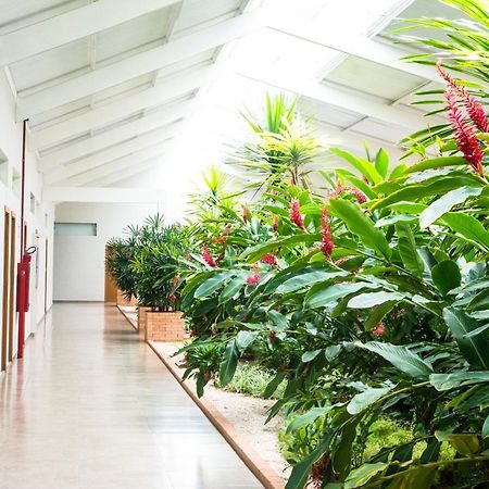 Hotel Vila Verde Penapolis Экстерьер фото